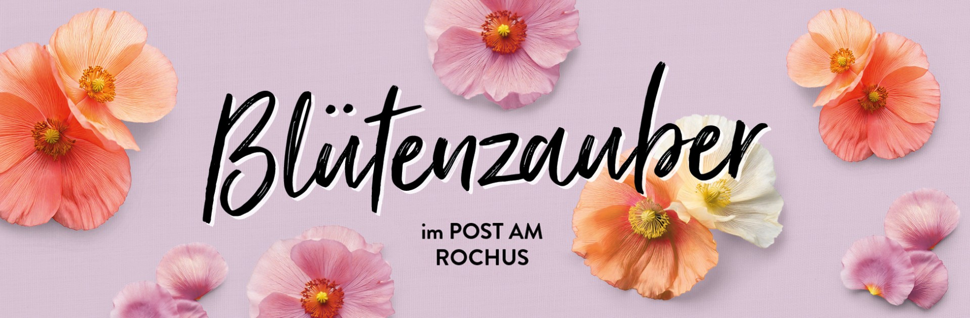Einkaufszentrum am Rochusmarkt | The Mall