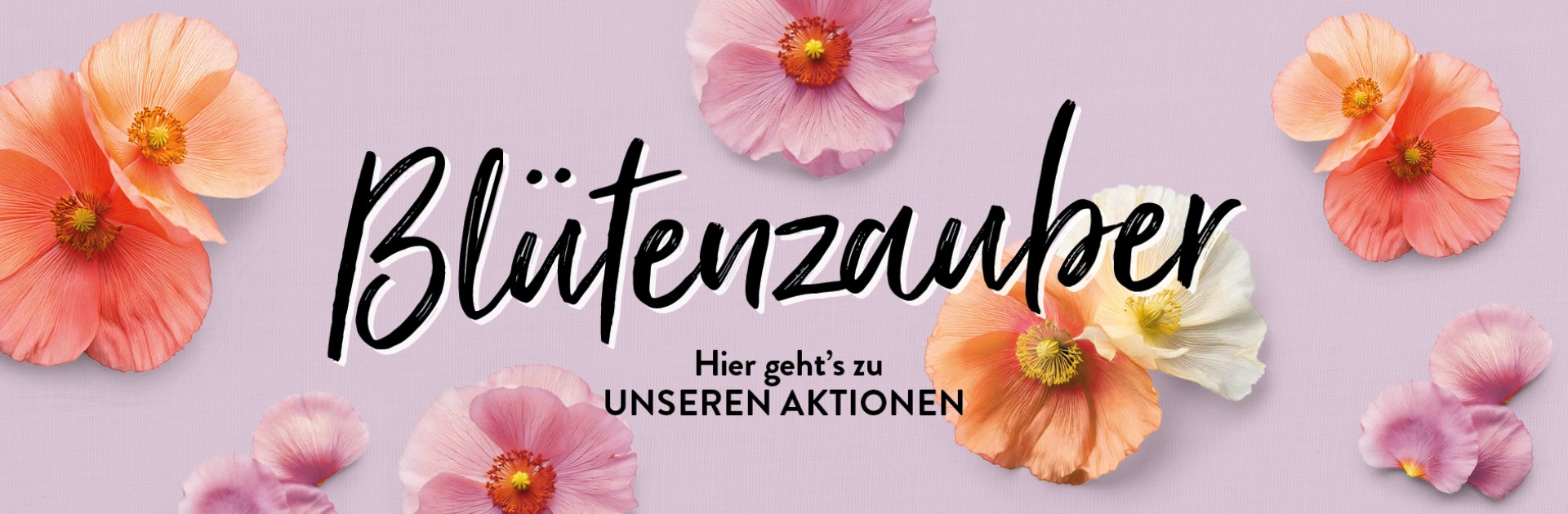 Einkaufszentrum am Rochusmarkt | The Mall